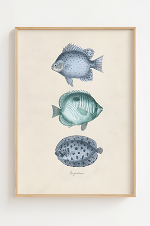 Vintage fiskeplakat med tre blå fisk på lys baggrund i naturtræsramme – perfekt som havplakat eller badeværelsesdekoration.