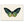 Skab en let og naturlig atmosfære i dit hjem med vores Butterfly Plakat