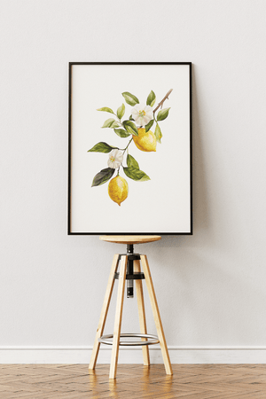 Botanisk Citron Plakat