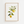 Botanisk citron plakat med illustration af citroner, blade og blomster