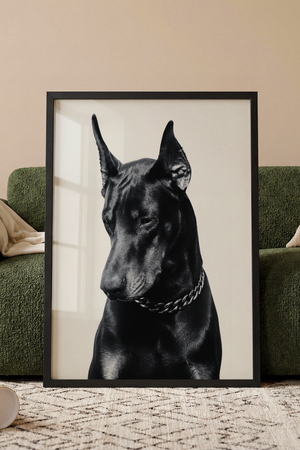 Sort hvid plakat med elegant dobermann hund på lys baggrund

