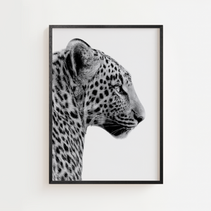 Sort hvid leopard plakat med elegant leopard i profil på lys baggrund
