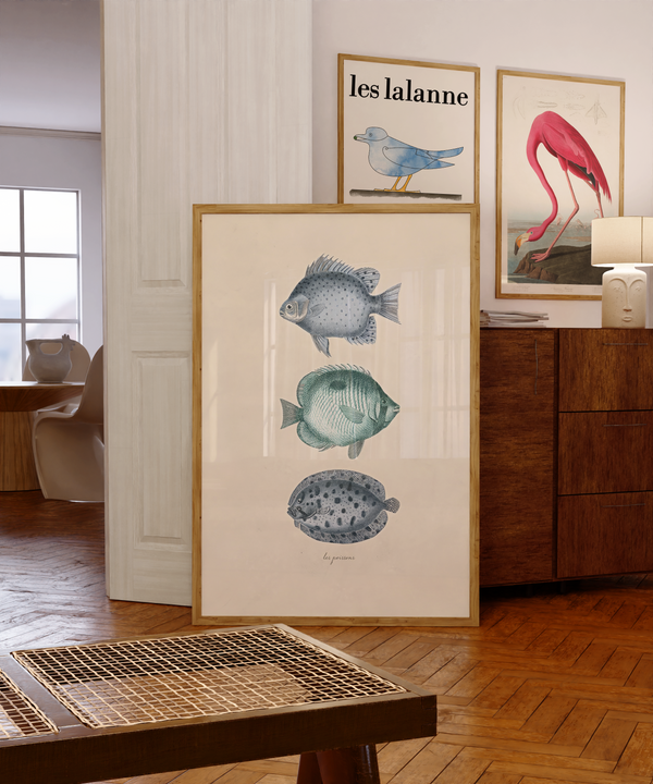 3 fish - Poster 