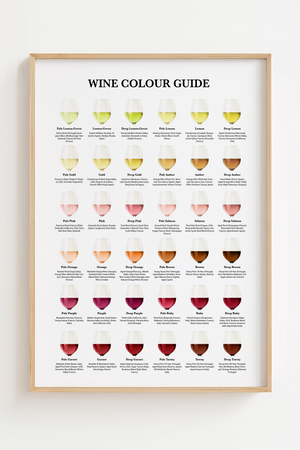Wine Colour Guide Plakat