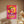 Amaretto Sour Shine Ellens Shop
