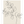 Botanical Plant Poster