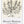 Matisse Galerie Maeght- Louisiana Plakat
