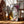 Squares Bauhaus Plakat