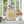 Gul Matisse Plakat | 